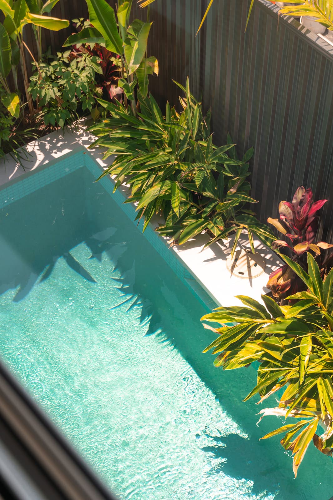 Aerial view of a plunge pool and tropical planting